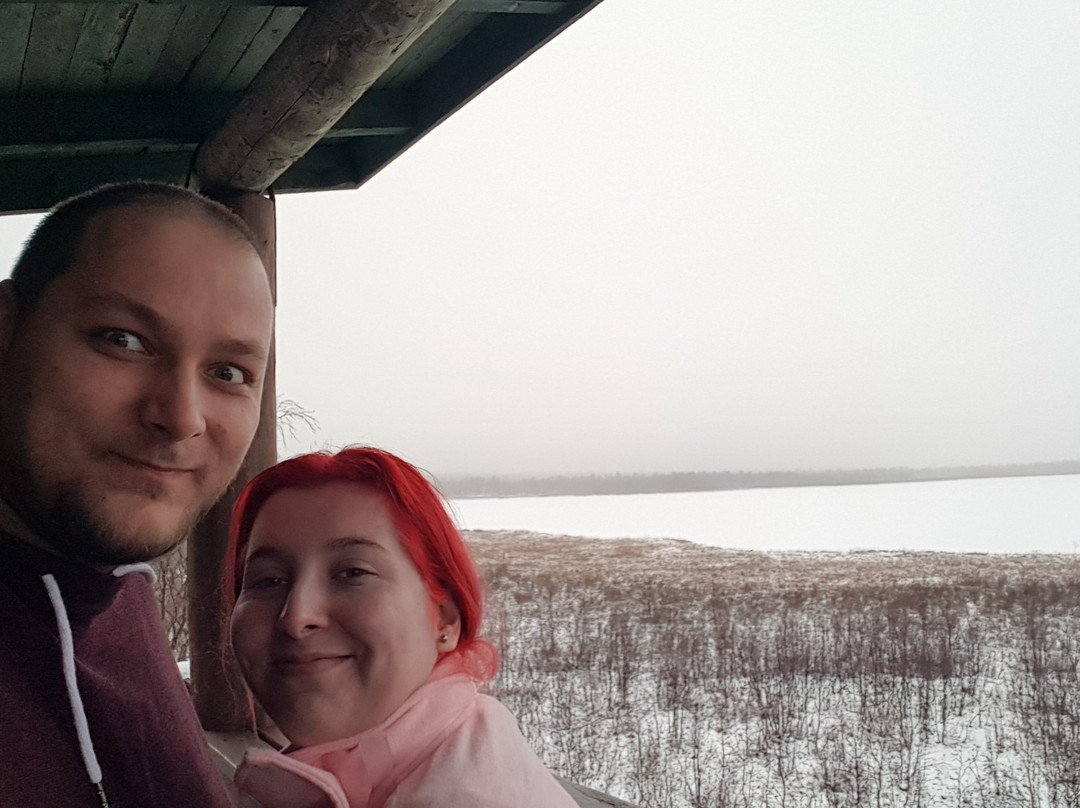 Sotkajarvi bird watching tower-Enontekiö必去景点