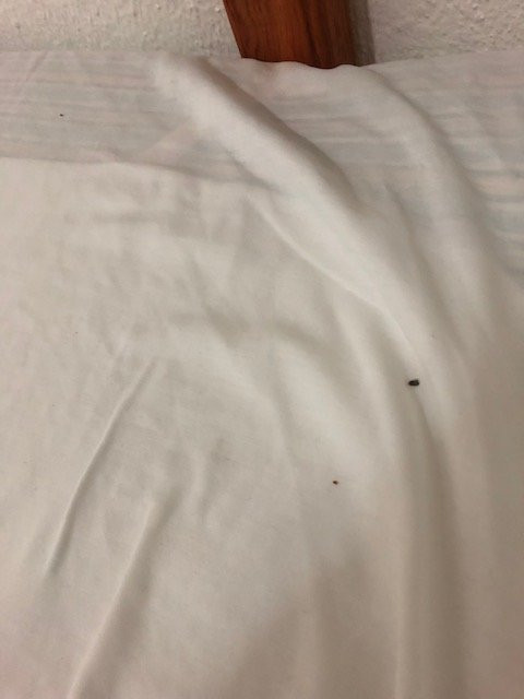 Hotel Casa Del Refugio主图