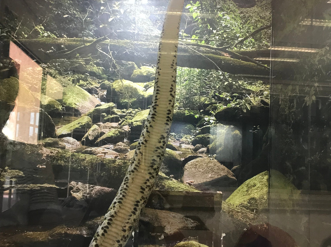 CEVAP unesp-Botucatu必去景点