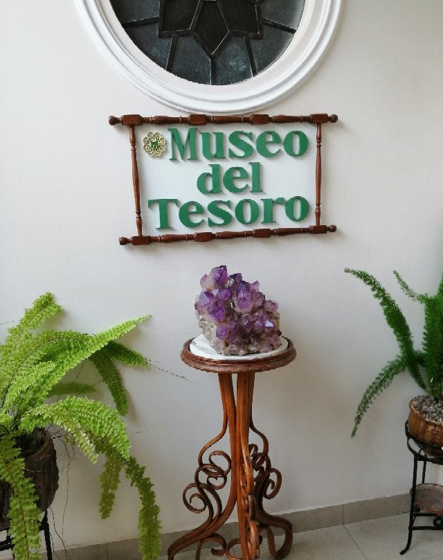 Museo del Tesoro景点图片