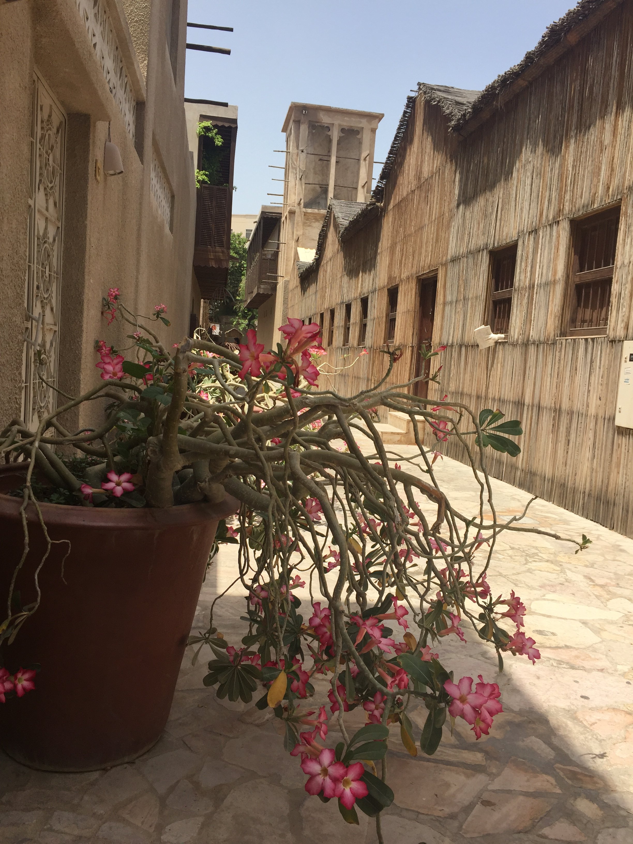 XVA艺术酒店-portrait