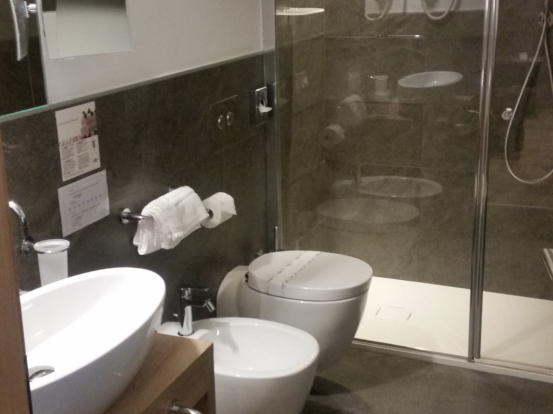 Chalet Aster Hotel主图