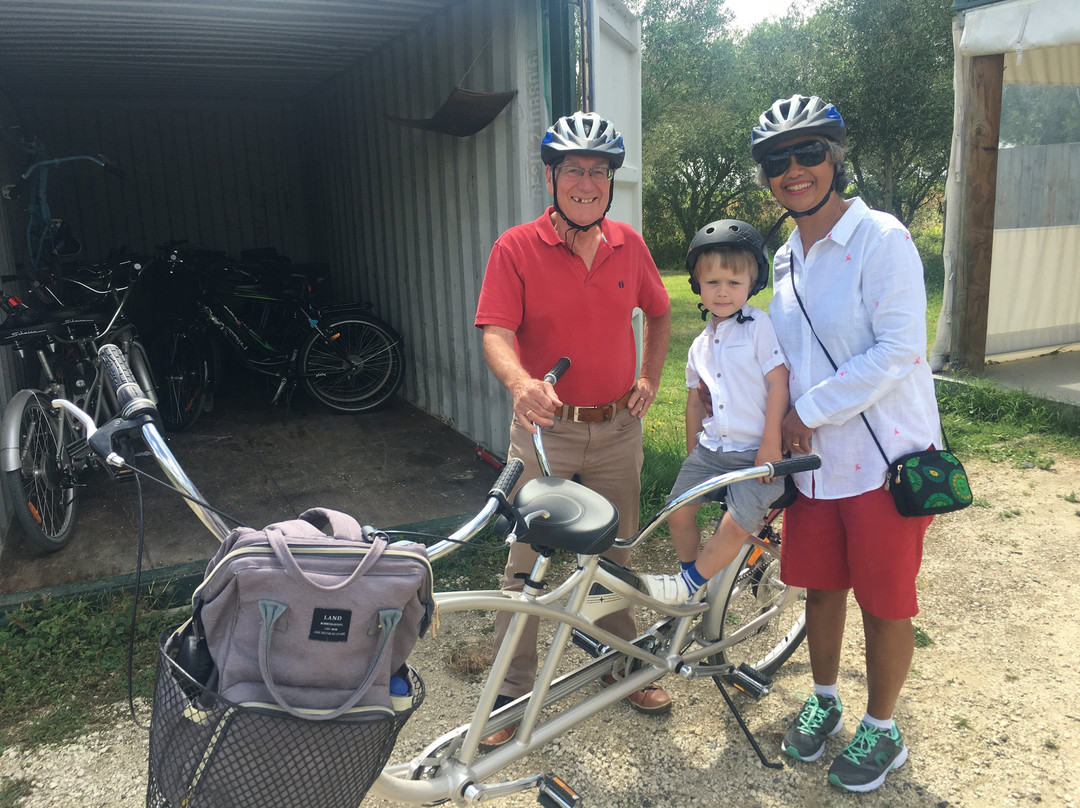 On Yer Bike Winery Tours-黑斯廷斯必去景点