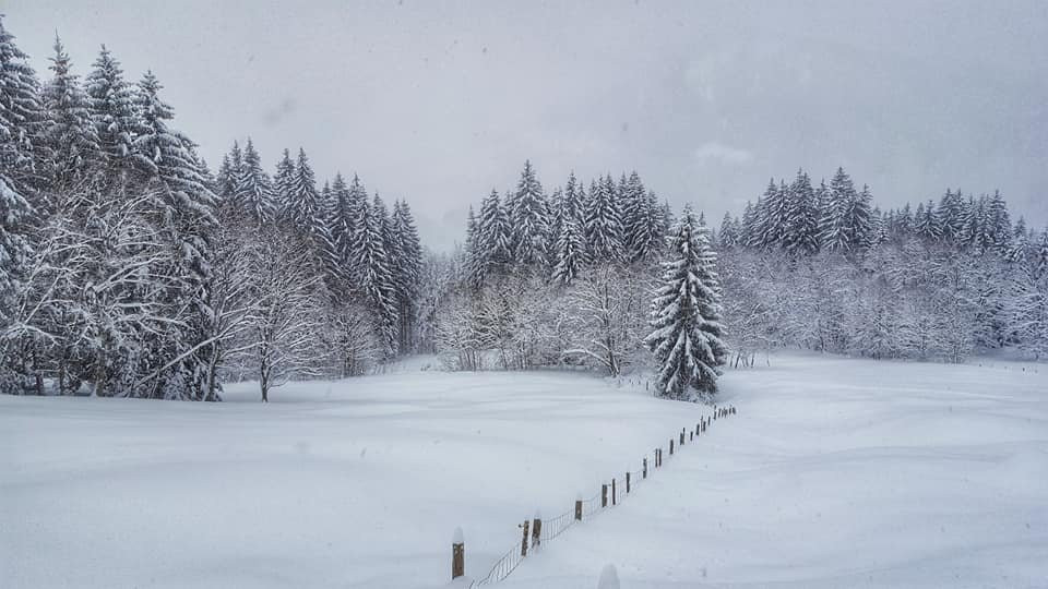 Hotel Alpenhof Reuterwanne主图