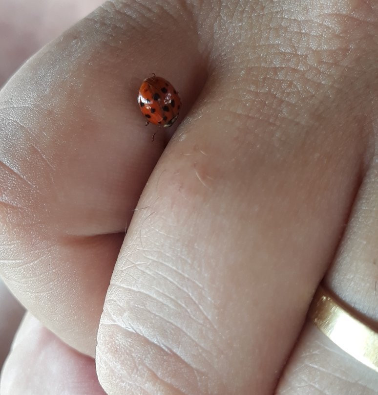 Water Club-Sao Lourenco必去景点