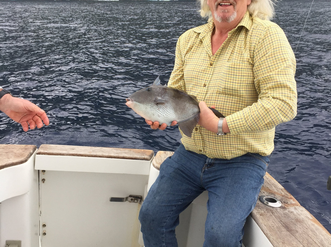 Madeira Marlin Charters-卡列塔必去景点
