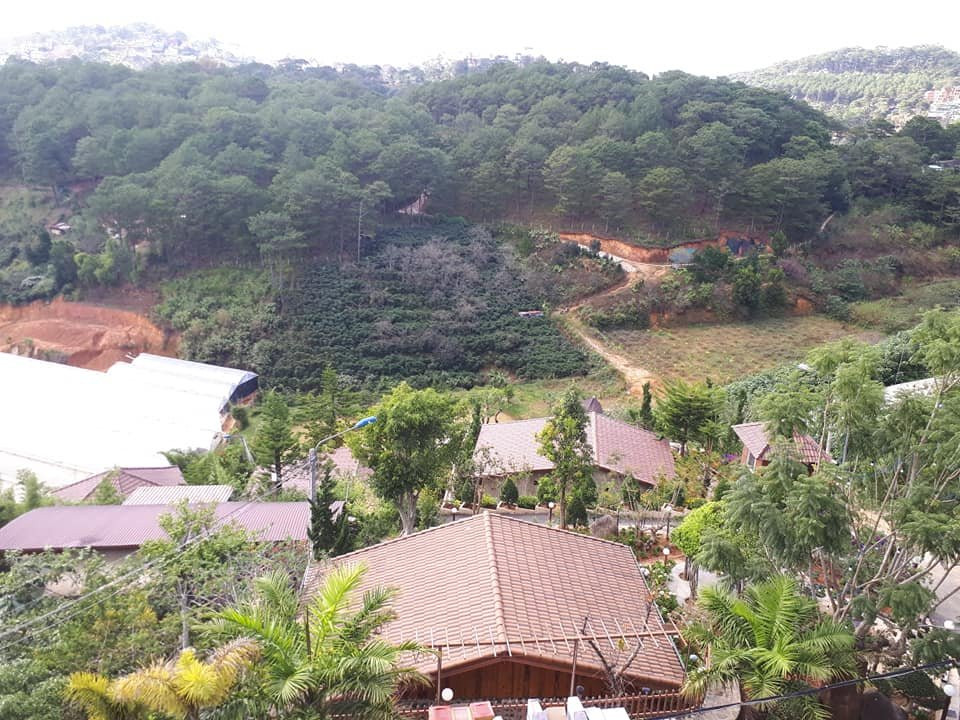 大叻禅谷酒店主图