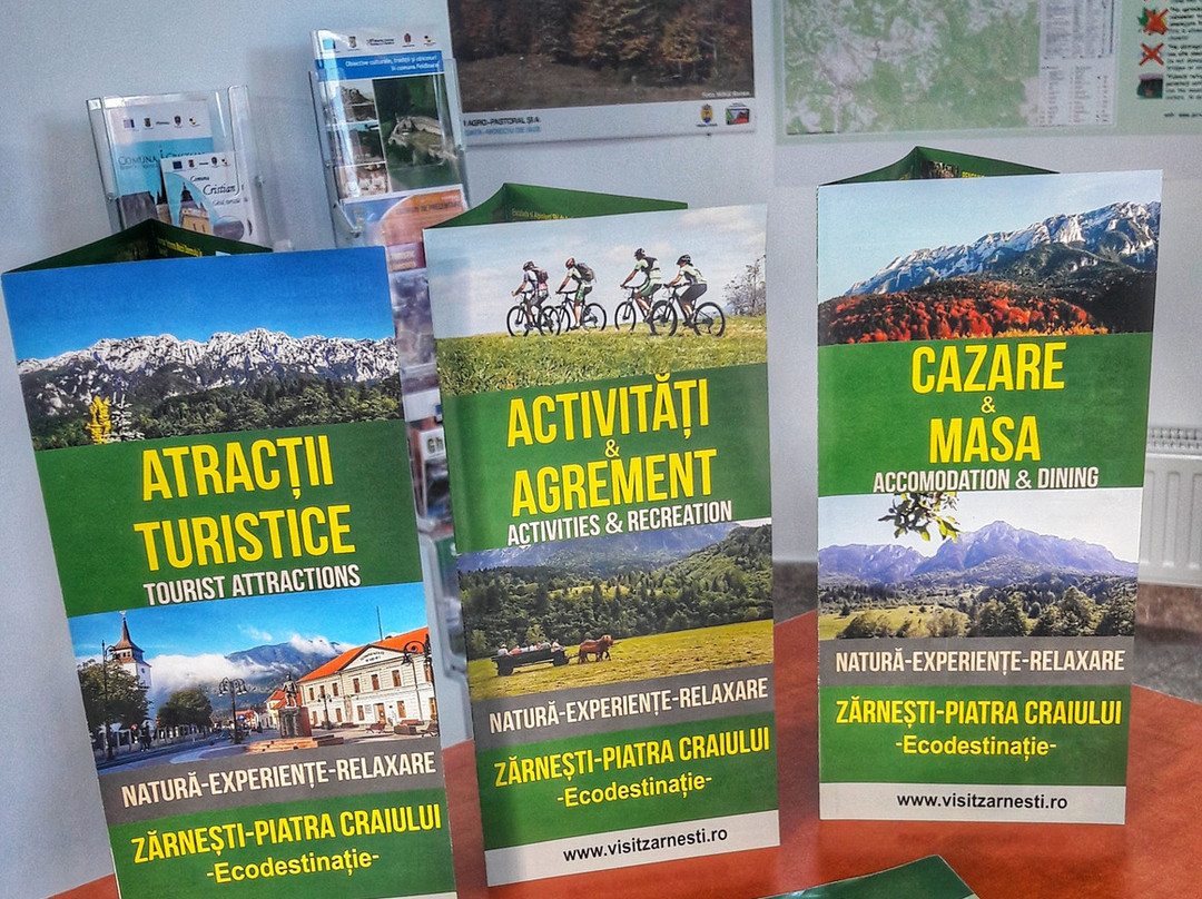 Zarnesti Visitor Center景点图片