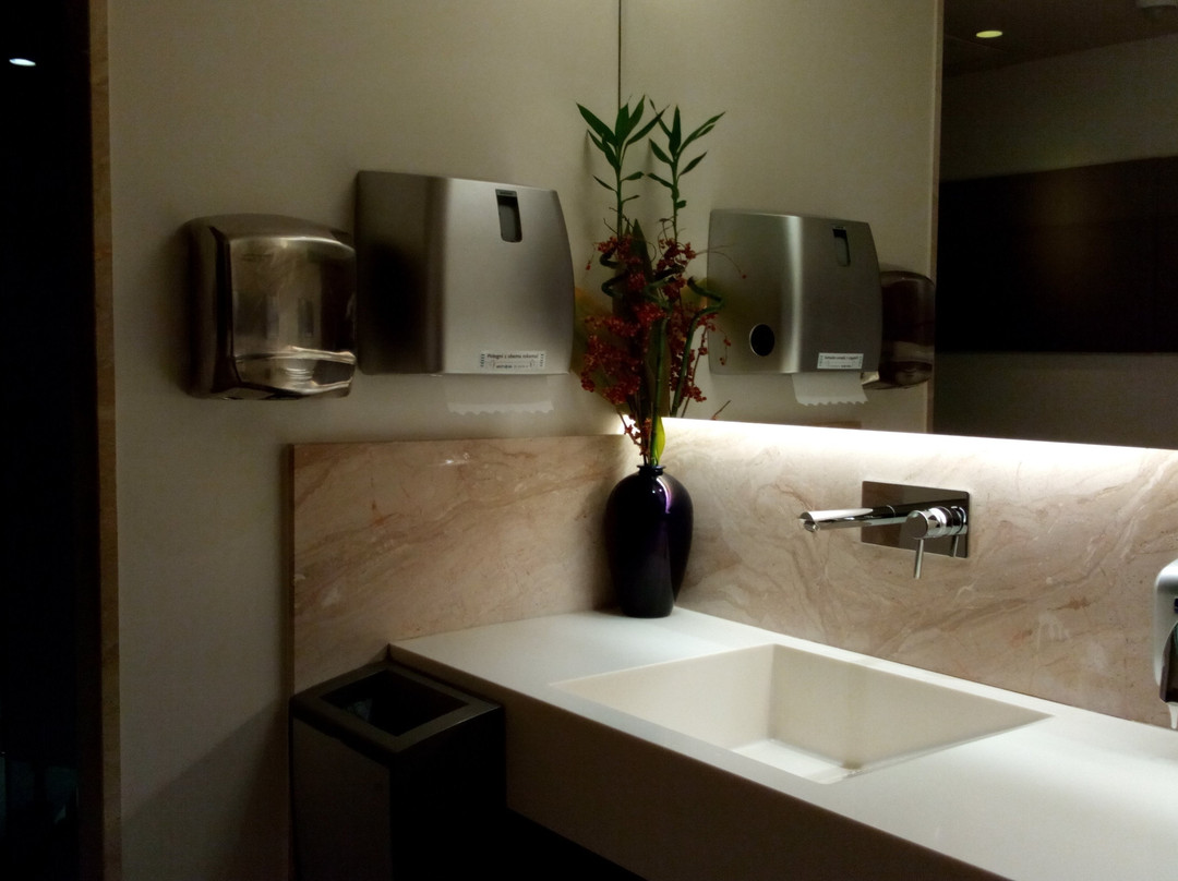 Hotel Svoboda - Terme Krka主图