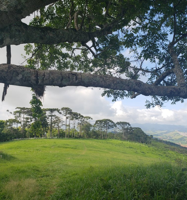 Montanha Sagrada景点图片