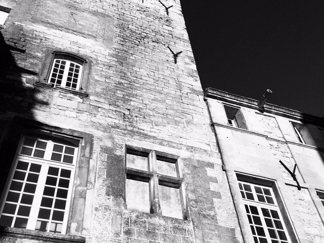 Chateau de Villevieille景点图片