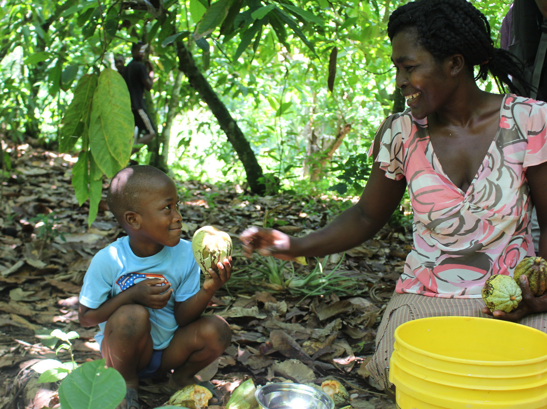 Taylor Made Chocolate-Chester必去景点