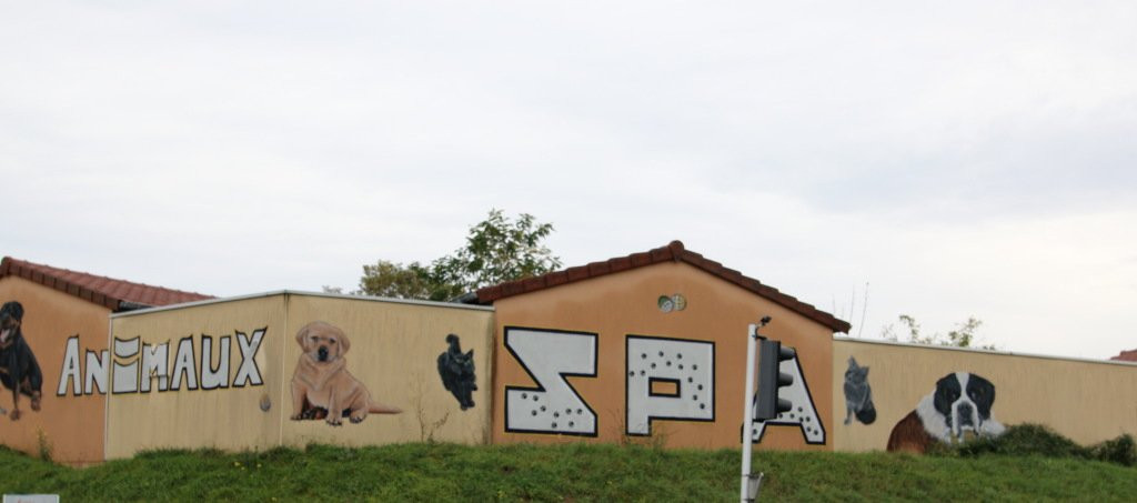 Fresque  Societe Protectrice Des Animaux景点图片