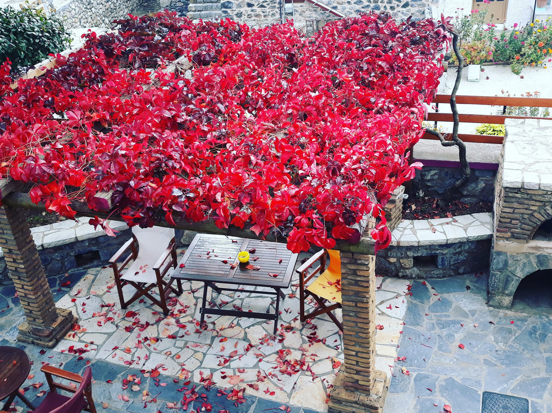 Arxontiko Nikolopoulou主图