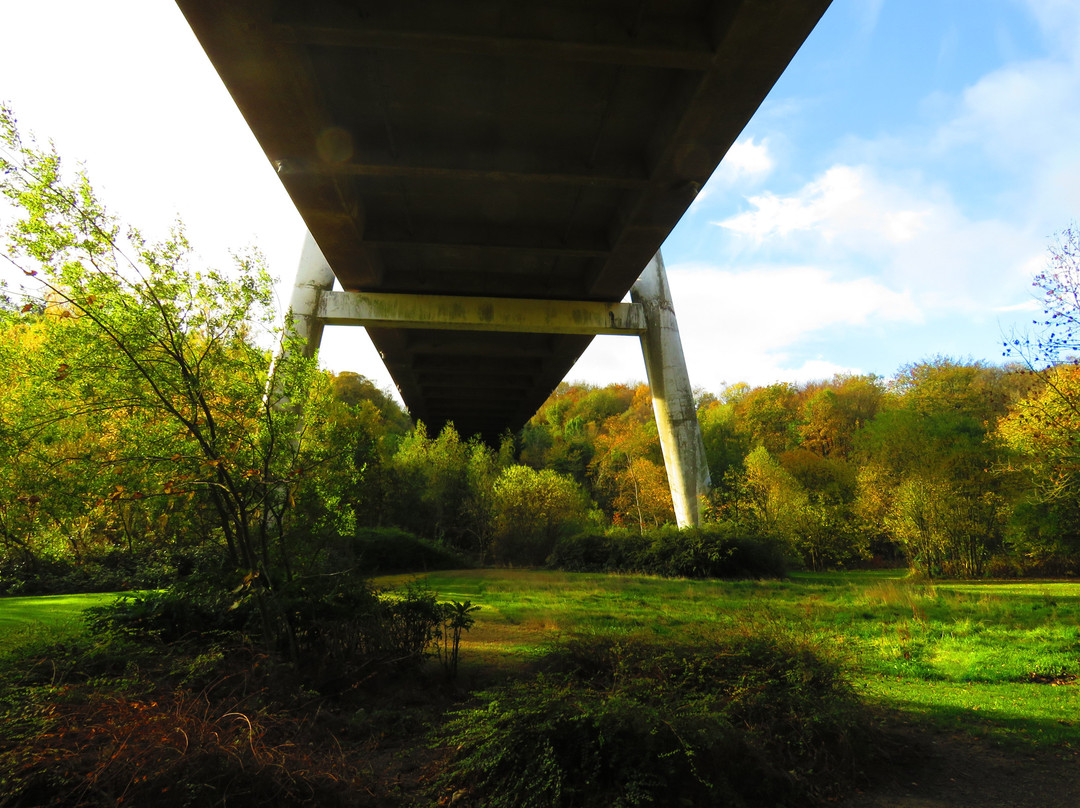 The River Leven Suspension Bridge-Glenrothes必去景点
