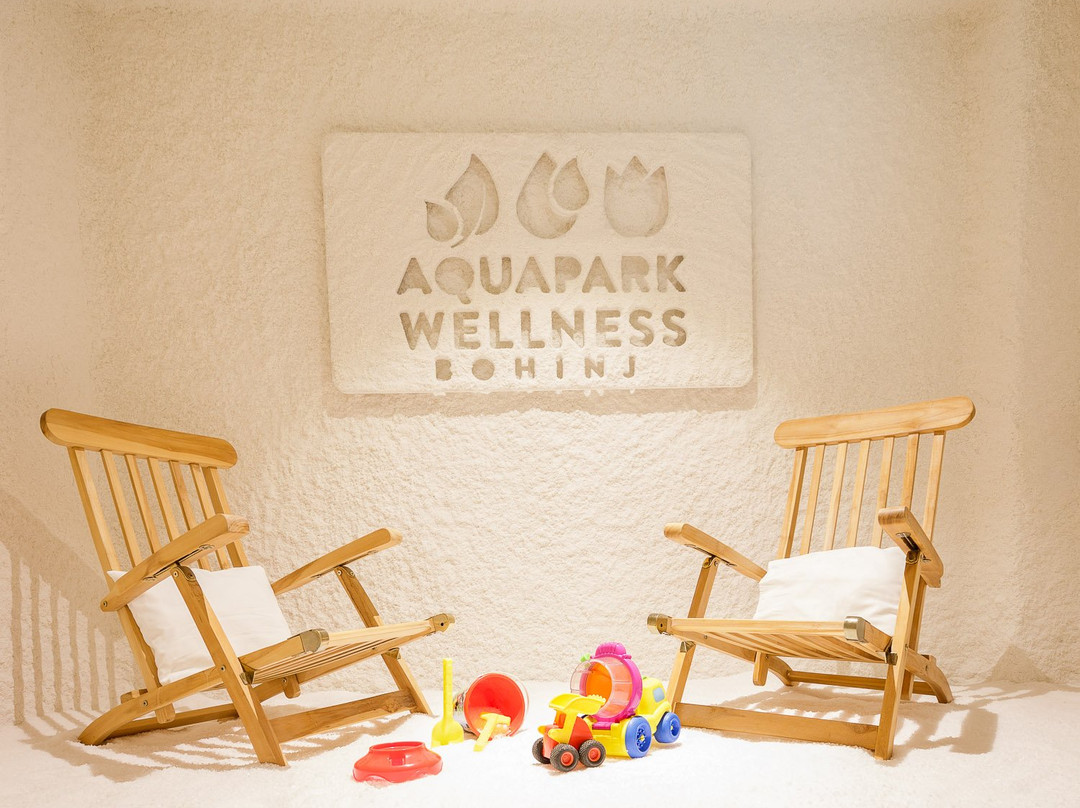 Aquapark & Wellness - Vodni Park Bohinj-Bohinjska Bistrica必去景点