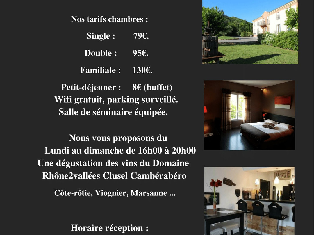 Hotel Le Domaine des Vignes主图