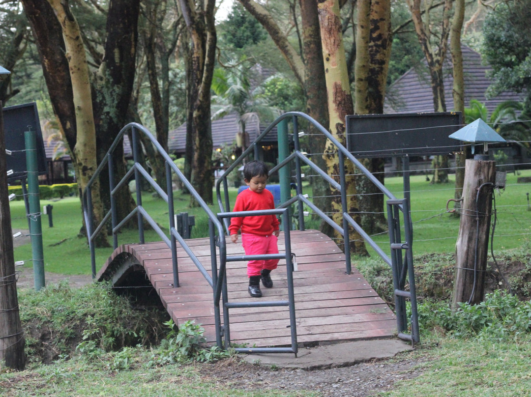 奈瓦沙索帕湖狮子木屋旅馆主图