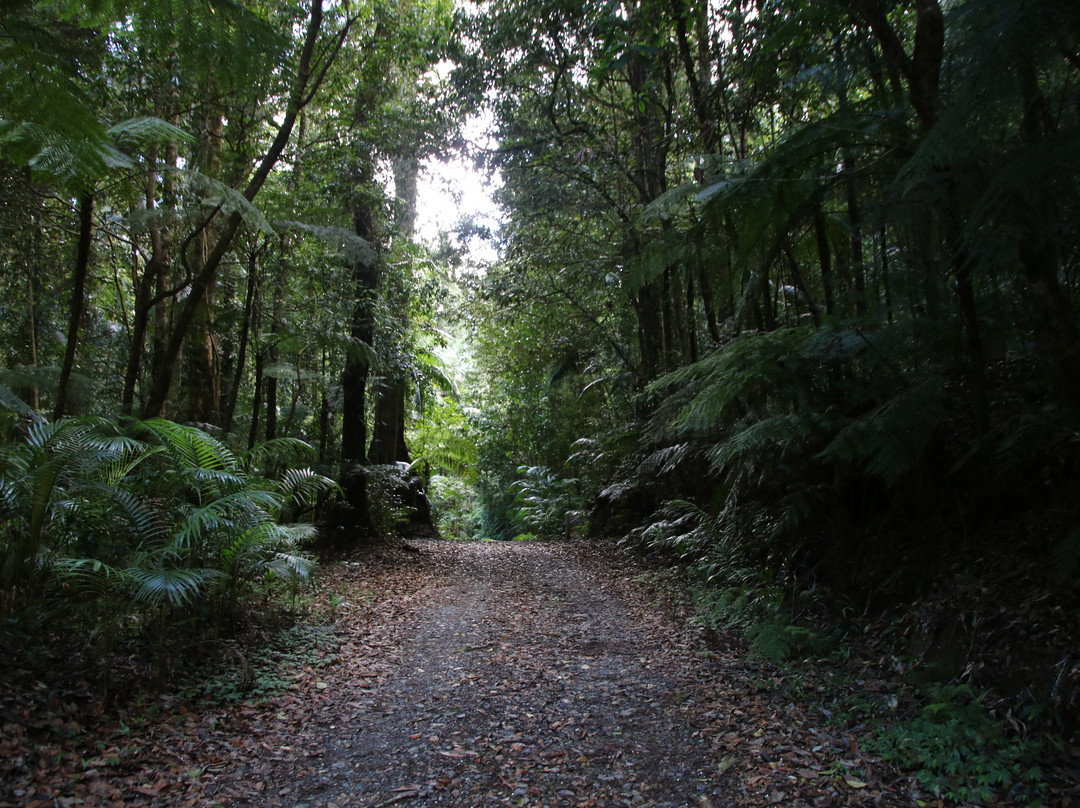 Waterfall Walk-Wauchope必去景点