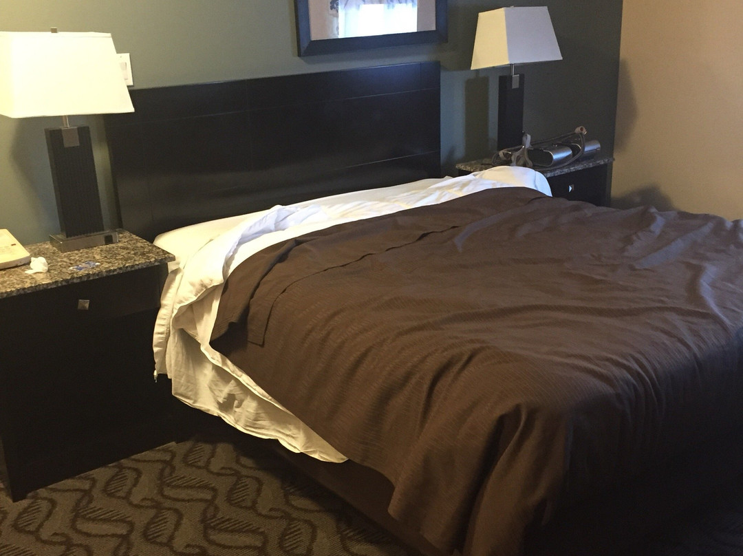 Lacombe Motor Inn主图