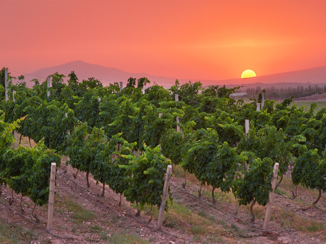 Arevadasht旅游攻略图片