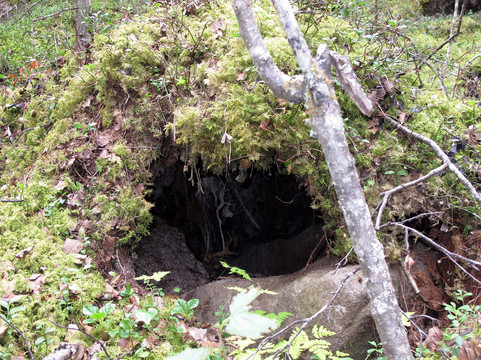 Arctic Adventure-哈拉斯必去景点