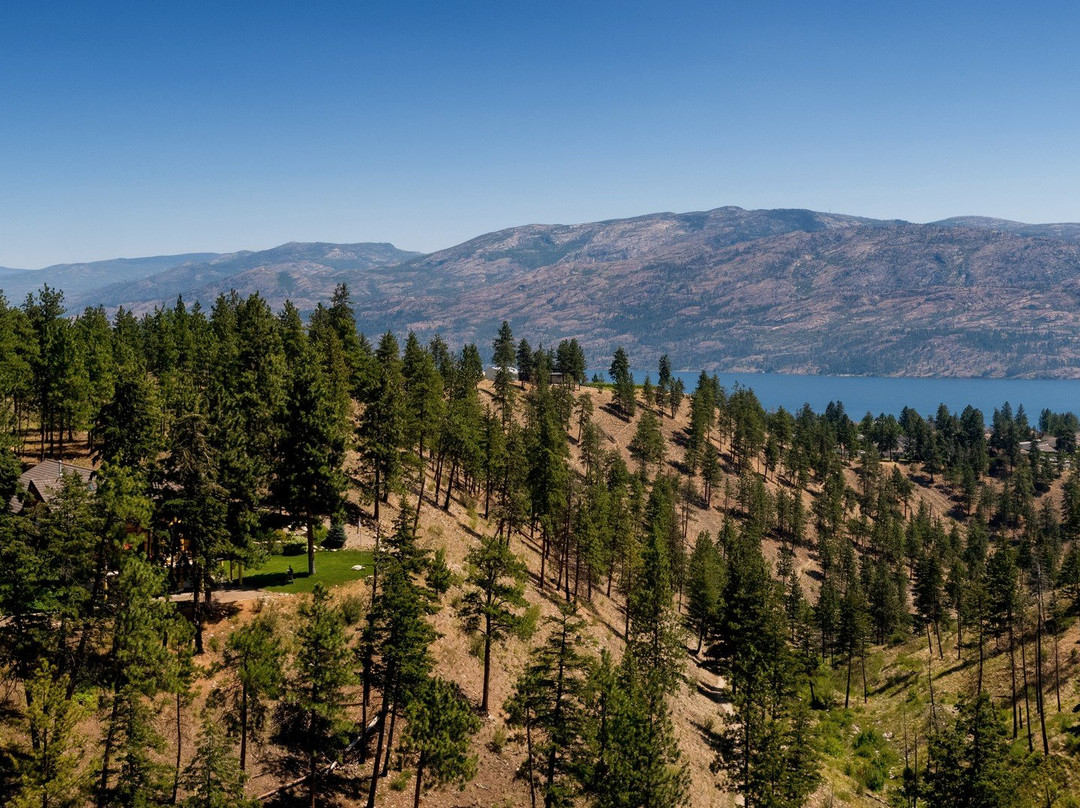 Log Home Bed & Breakfast主图