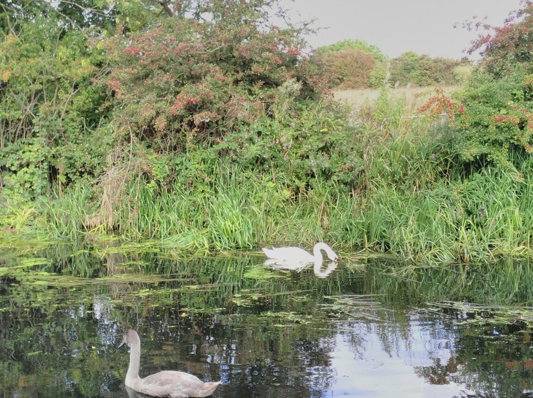 Erewash Valley Trail-Beeston必去景点
