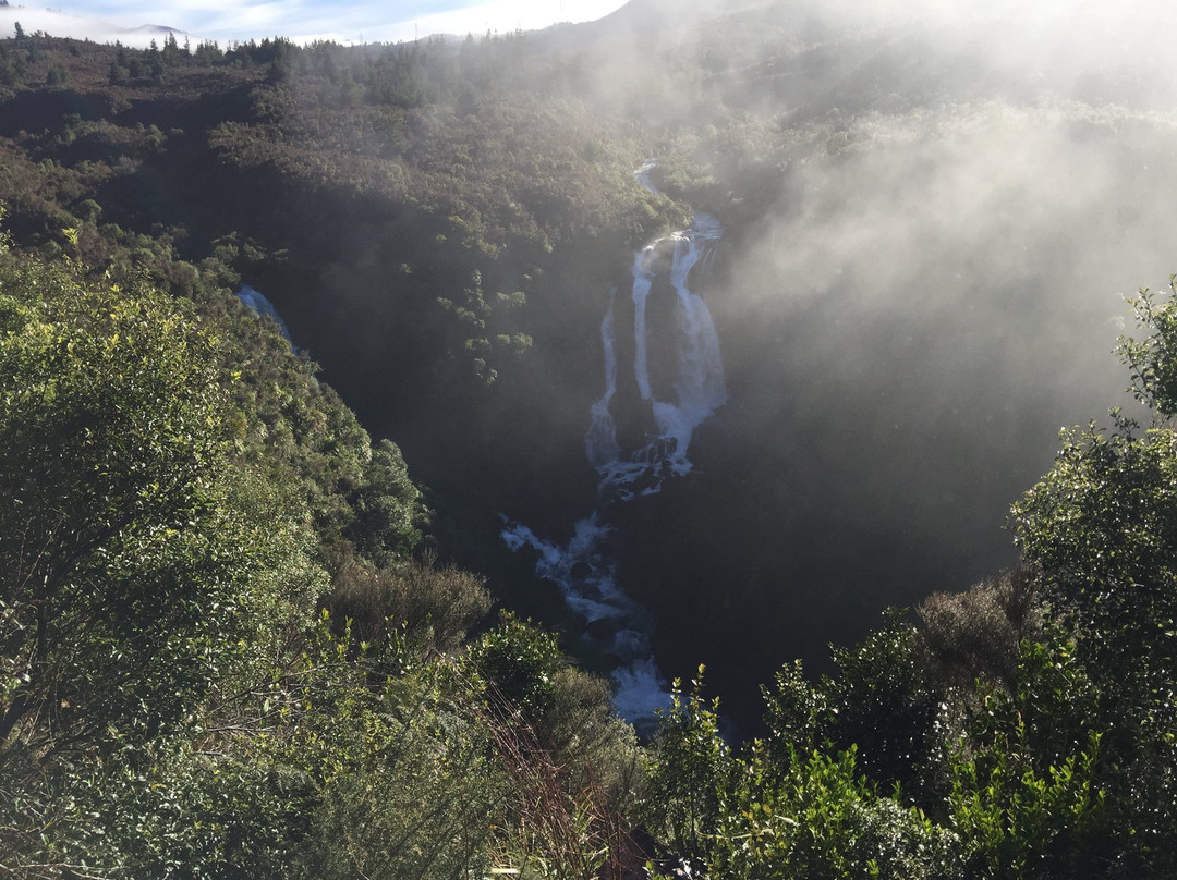 Waipunga Falls景点图片