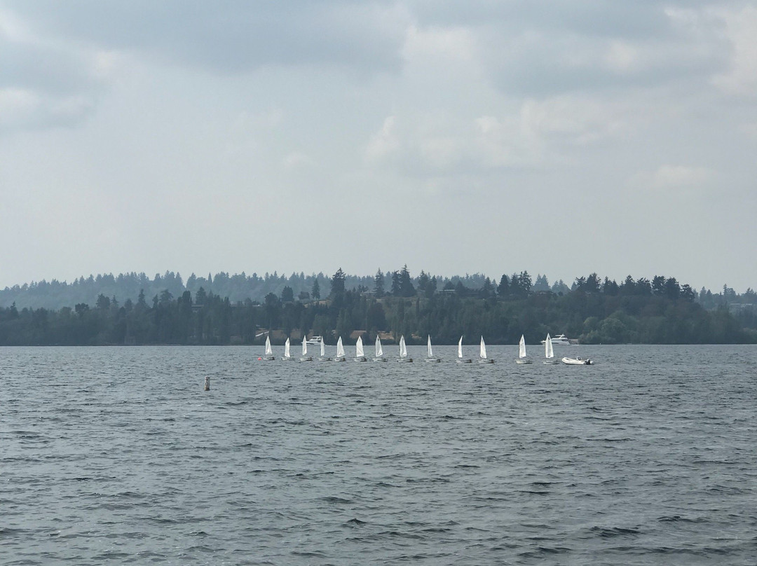 华盛顿湖景点图片