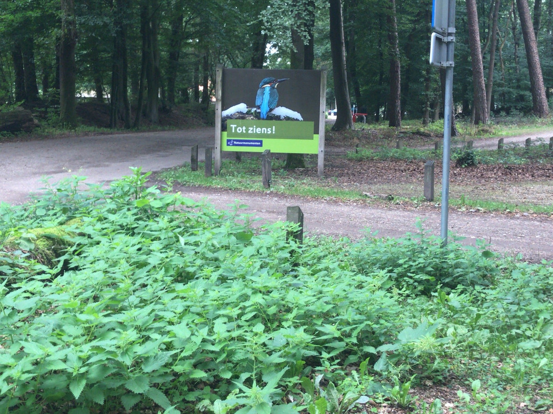 Leuvenumse bossen-Leuvenum必去景点