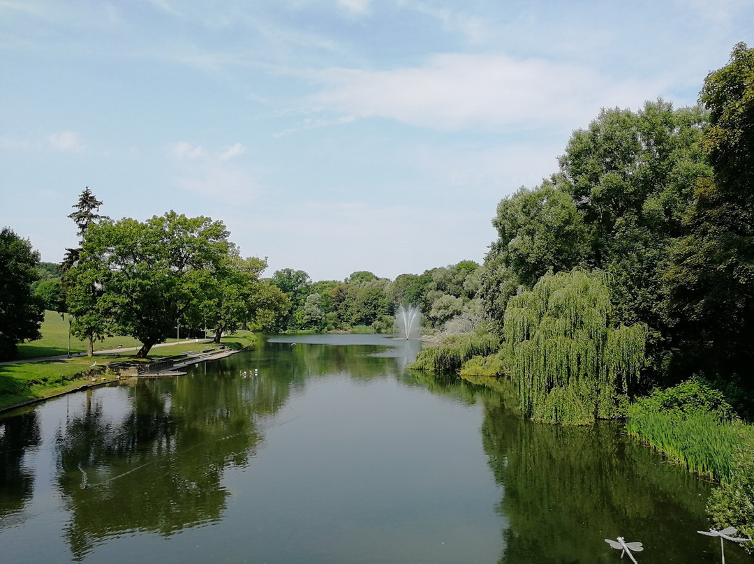 Park Kasprowicza景点图片