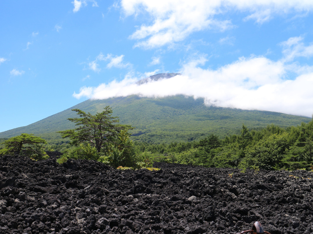 Mt. Iwate Yakehashiri Lava Flow景点图片