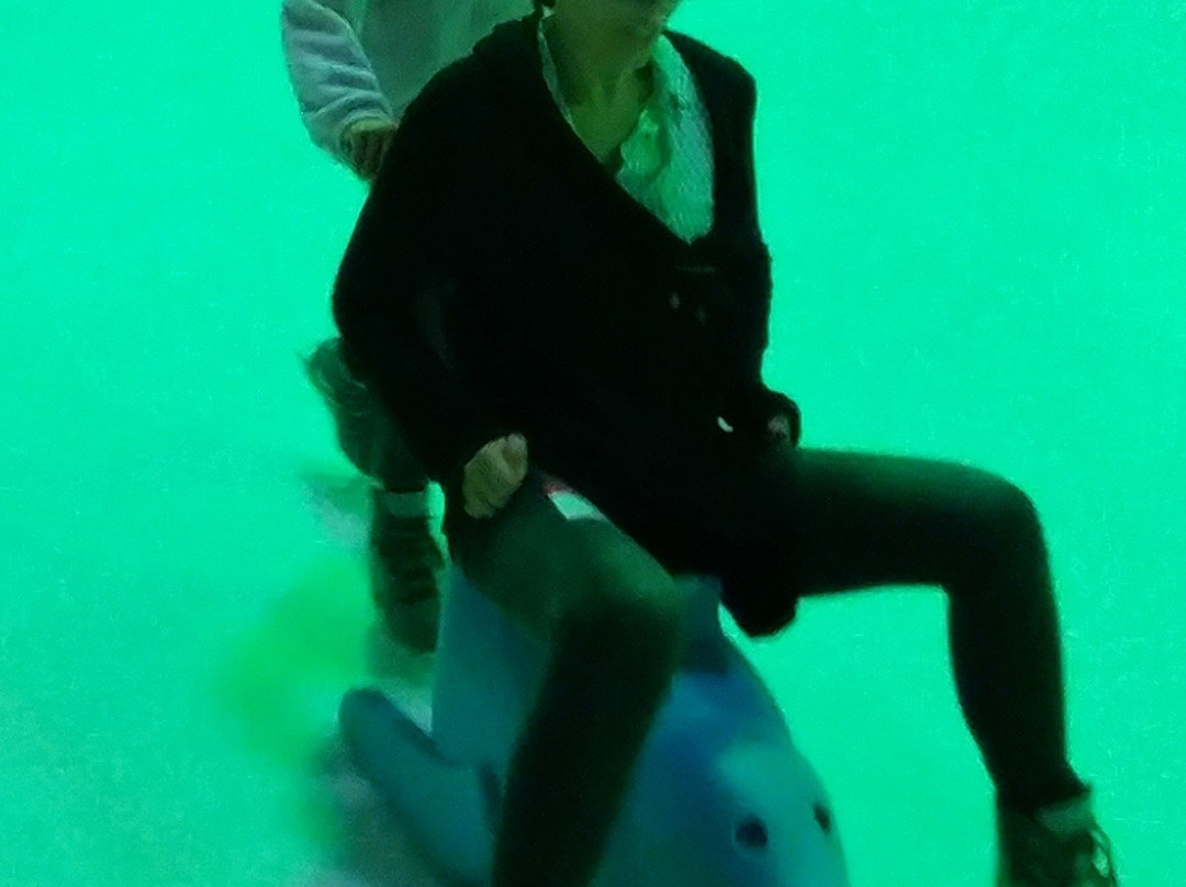 Florida Hospital Center Ice-卫斯理堂必去景点