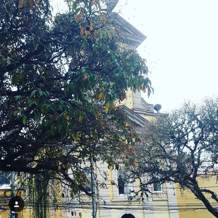 Catedral Metropolitana São João Batista景点图片
