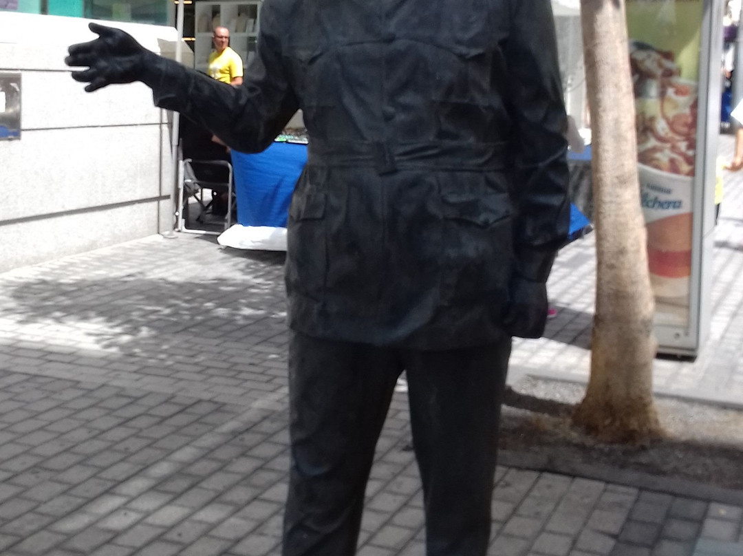 Estatua de Heraclio Niz Mesa-阿雷西费必去景点