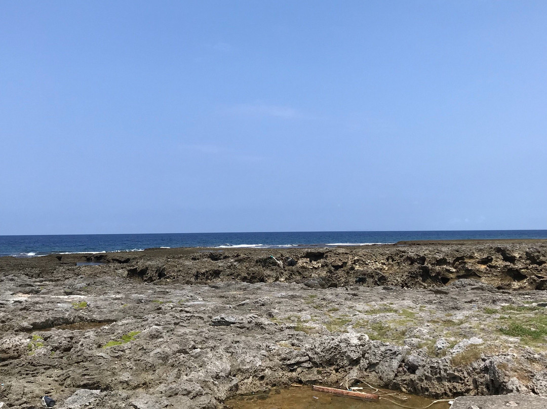 Tropical Fish's Home-久米岛町必去景点