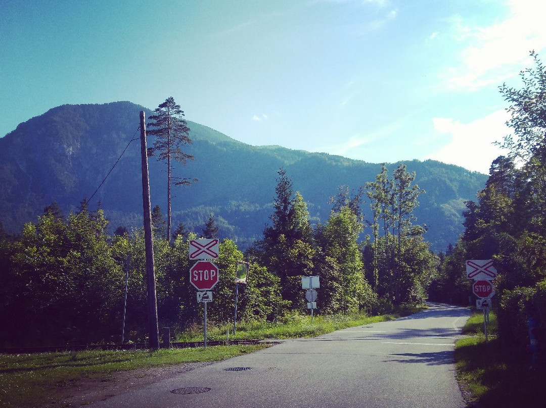 Gasthaus Pension Matheidl主图