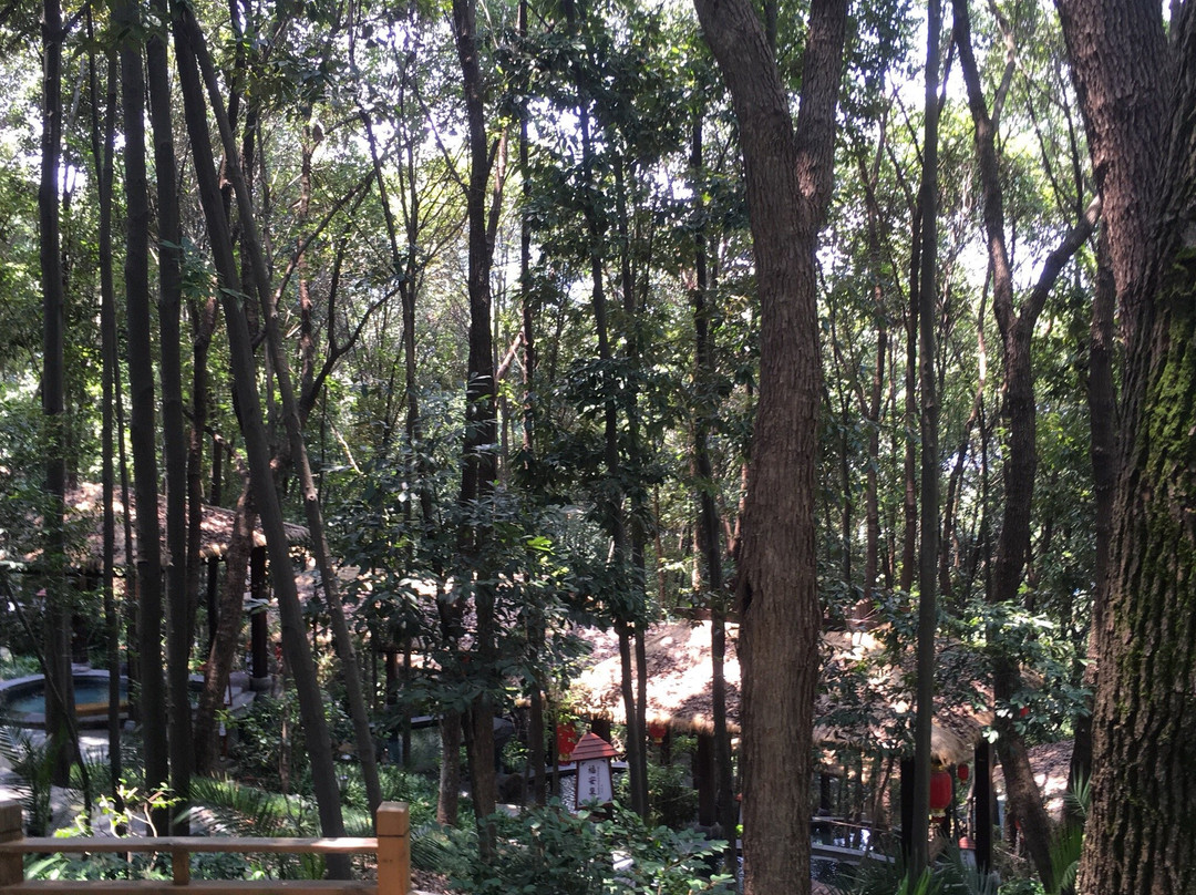 张家界万福温泉度假村主图