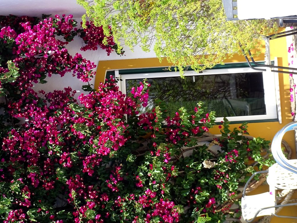 Casa de Cacela-家庭/游戏区