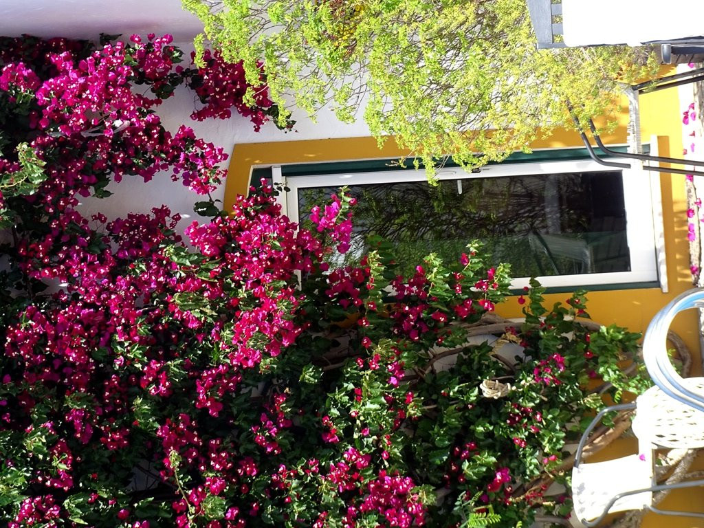 Casa de Cacela主图