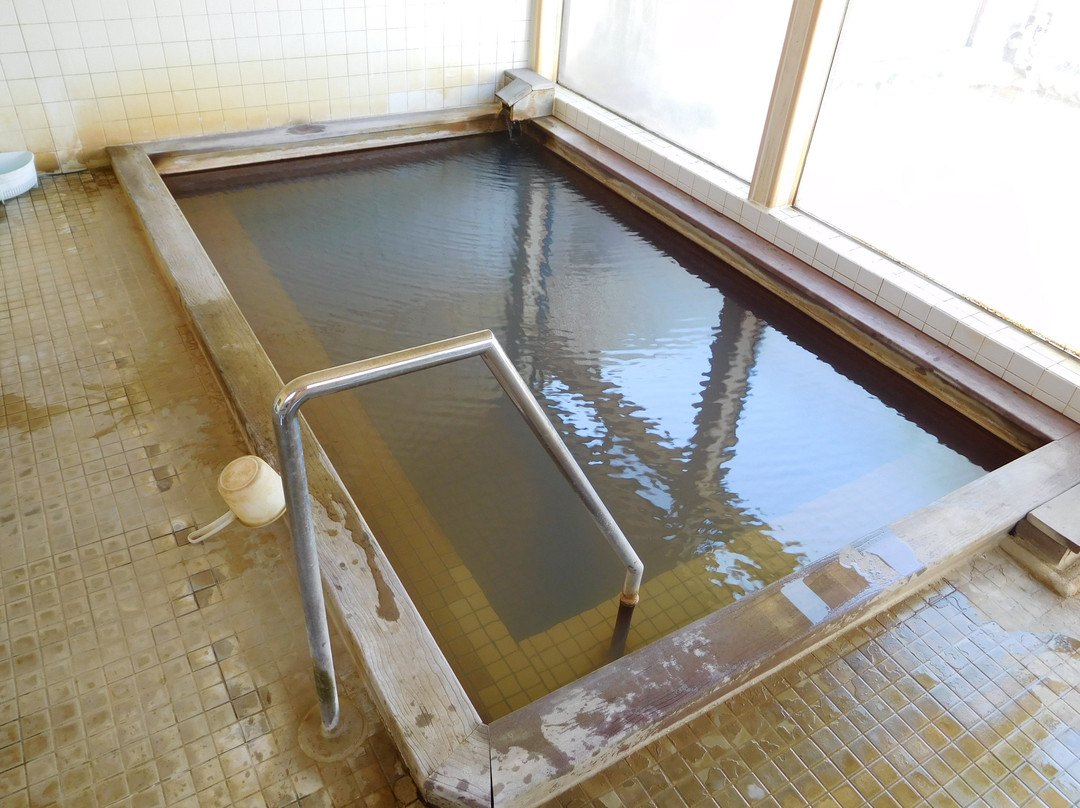 Onsen Ryokan Mikansei主图