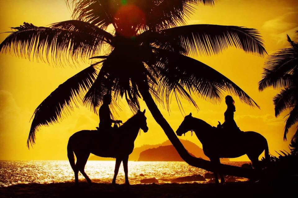 Turquoise Horse Trails-马埃岛必去景点