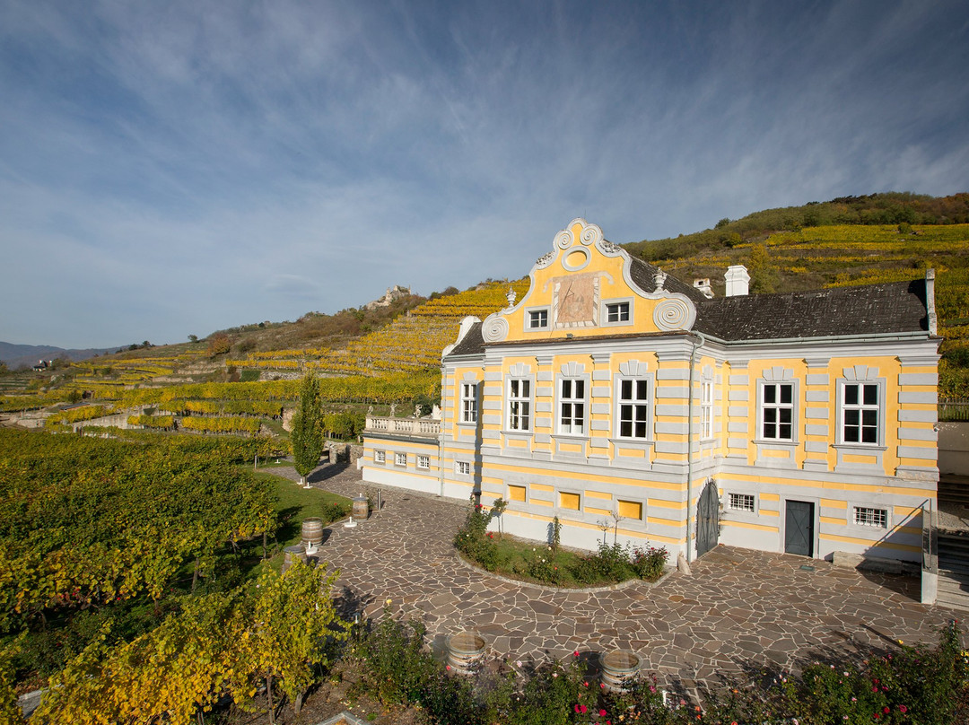 Domane Wachau Vinothek & Shop-都恩石必去景点