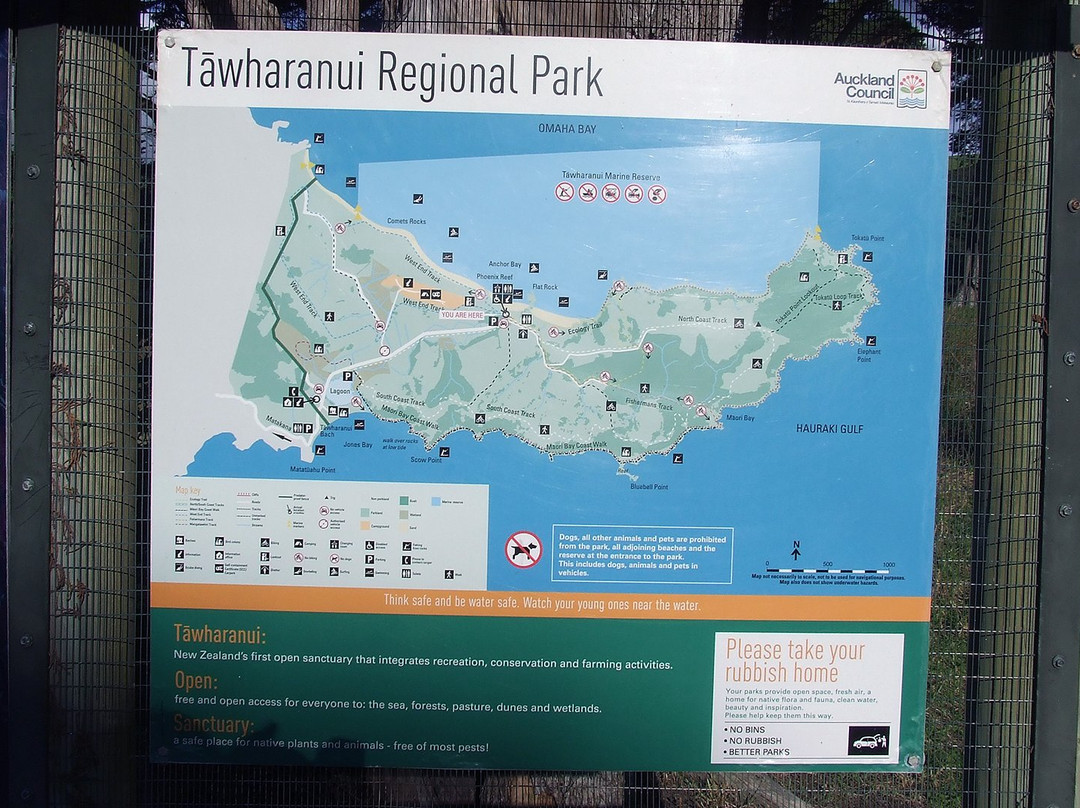 Tawharanui Regional Park景点图片