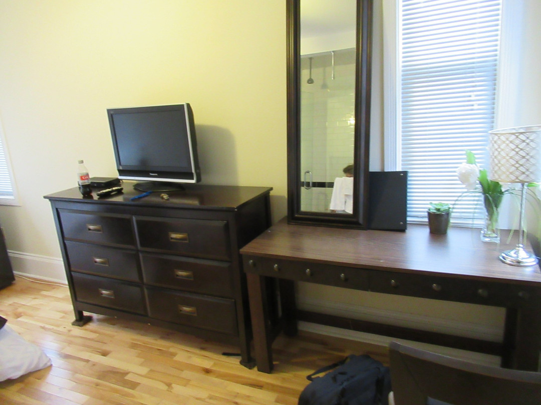 The Novel Stay主图