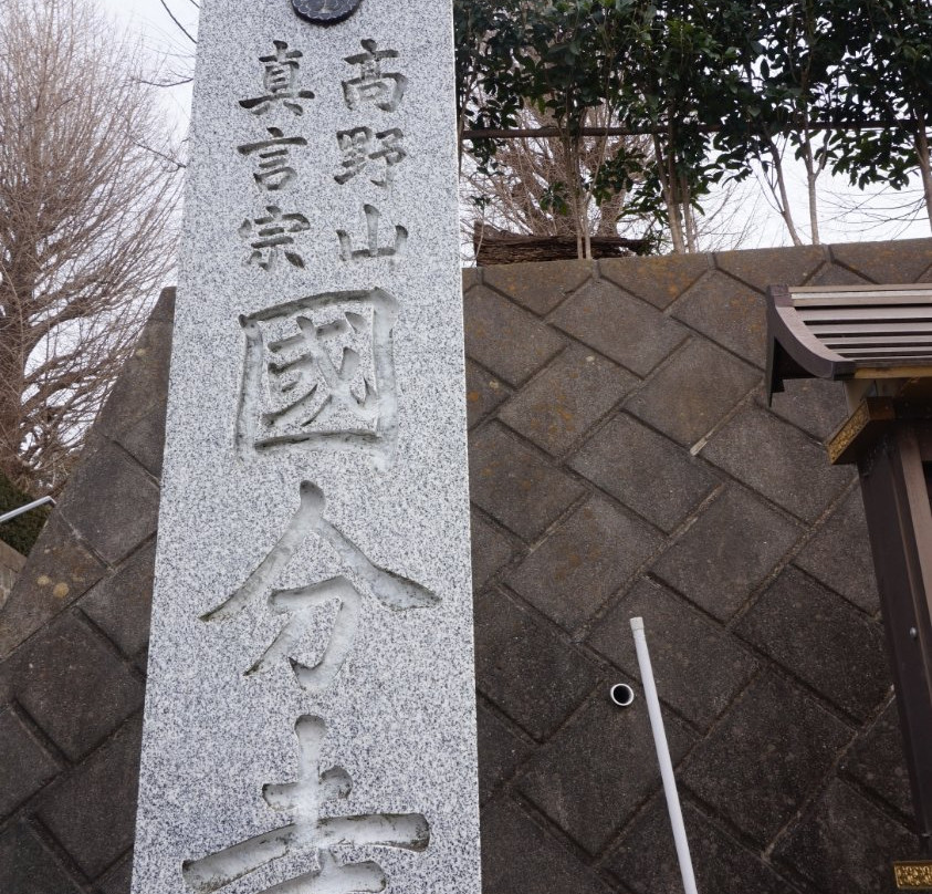 Sagami Kokubun-ji Temple景点图片