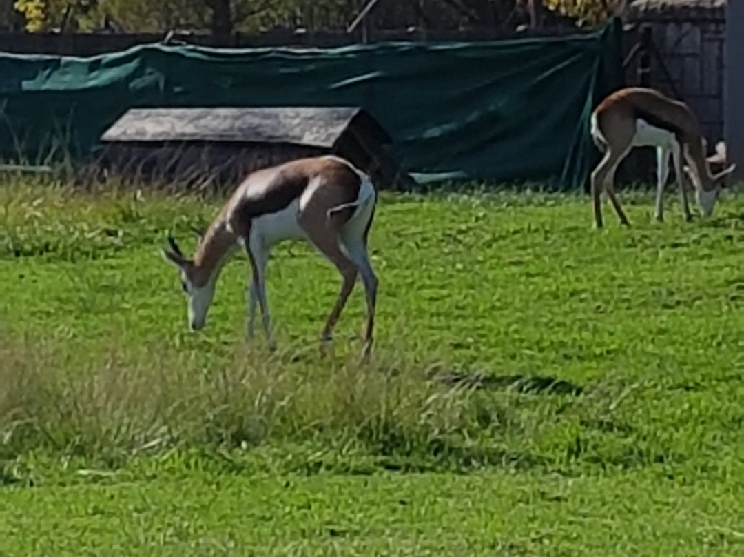 Malikana Guesthouse主图