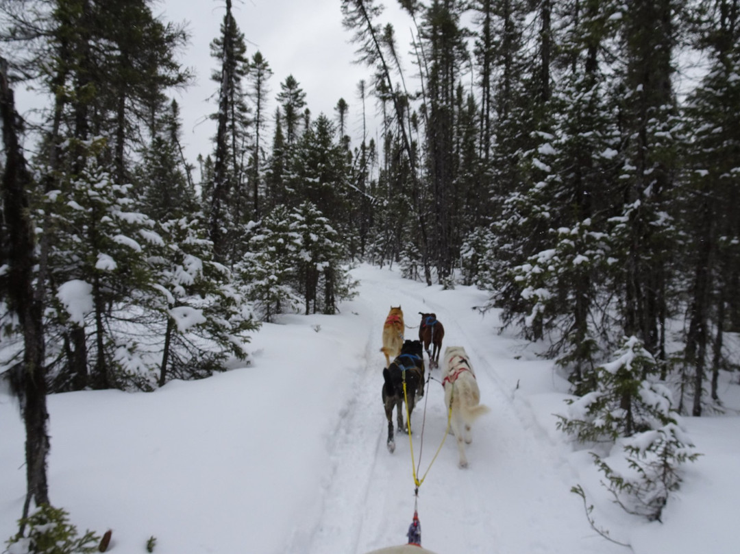 Vie d'Avant-Ture-Mont-Saint-Michel必去景点