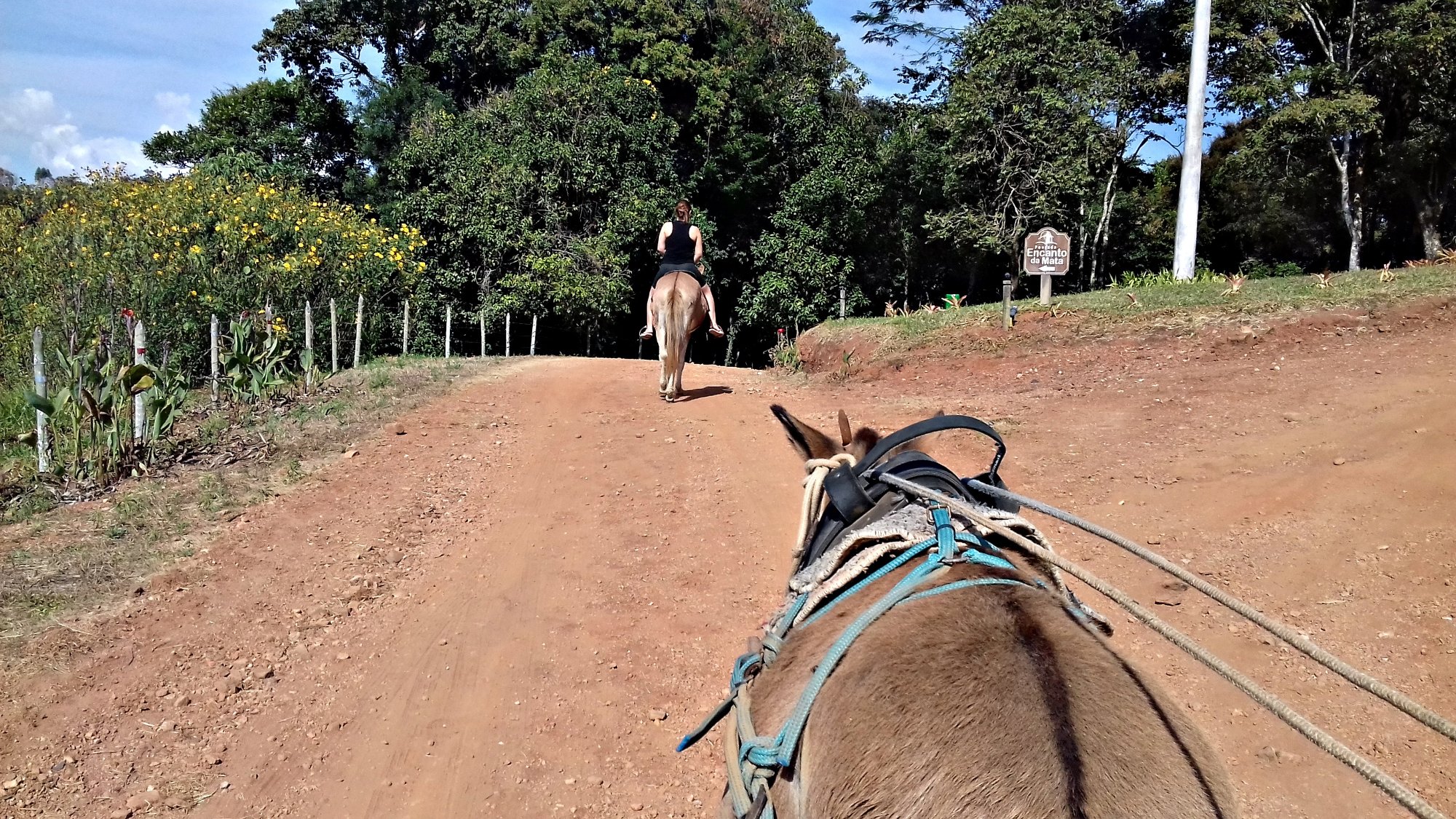 Pousada Encanto da Mata-家庭/游戏区